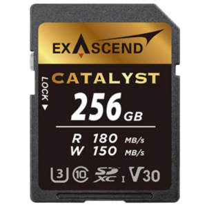 Exascend Catalyst Uhs-I 256Gb (V30) En Tunisie