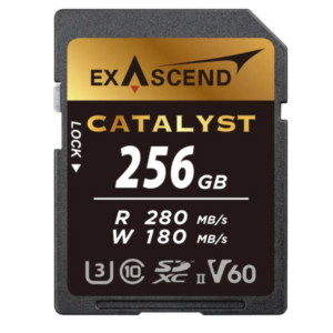 Exascend Catalyst Uhs-Li 256Gb (V60) En Tunisie